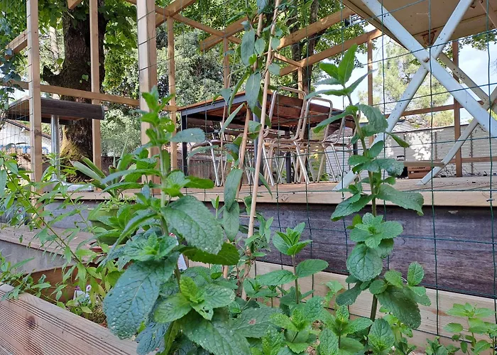 Dom wakacyjny Sous Les Tilleuls *