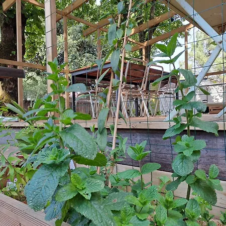 Prázdninový dům Sous Les Tilleuls *